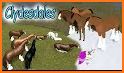 Wild Horse Riding world : Horse Fans related image