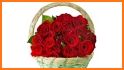 Beautiful flowers and roses pictures Gif related image