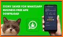 Story Saver For WhatsApp Business related image