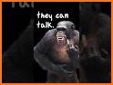 Funny Talking Monkey related image