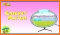 Motu Patlu Cricket Game related image