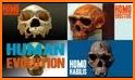 Human Evolution related image