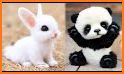 Cute Animals: Simple Puzzle related image