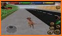 Dog Family Simulator : Hunt and Survive related image