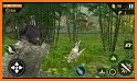 Wild Hunting Simulator 2017 related image