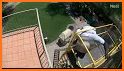 Ladder Fall related image