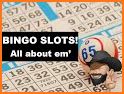 Bingo Rider - Casino Game related image