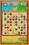 Candy Fruit Mania : Blast & Pop Jewel related image