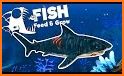 feed the hungry fish and grow sharks related image