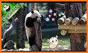 Blue Panda Cute Theme related image