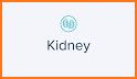 Kidney Check: Home Urine Test related image