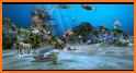 Aquarium Fish Live Wallpapers & Themes related image