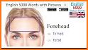 Learn English - 6000 Essential Words related image