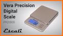 Precision digital scale related image