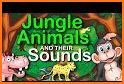 Jungle - Animal Sounds related image