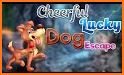 Cheerful Lucky Dog Escape related image