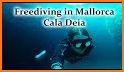 Apnea Free Diving & Snorkeling related image