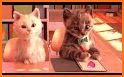 Cat game - Pet Care & Dress up Games for kids related image