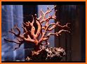 Tree of sea - coral gems related image