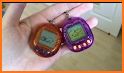 Virtual Pet Dog related image