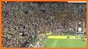 LSU Tiger Lights related image