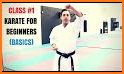 Learn Karate - Video Training Technical Classes related image