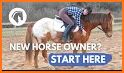 Horse Care and Riding related image