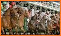 Churchill Downs Racetrack related image