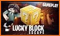 Lucky Blocks Race Minigame Map for MCPE related image