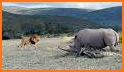 The Rhinoceros related image