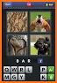 4 pics 1 word just related image