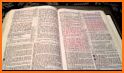 NIV Study Bible related image