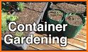 All About Container Gardening related image