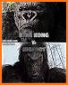 Bigfoot Monster Kong Rampage related image