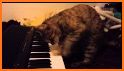 Dynamic Sleeping Puppy Keyboard Theme related image