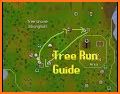 Tree Run related image