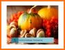 Thanksgiving Wallpaper: HD images Free download related image