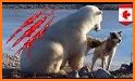 Polar Animal - Pup Care related image