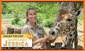 Zoo Animal Keeper related image