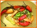 tips cara menanam cabe rawit dari biji related image