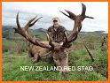 Deer Hunting Season Safari Hunt related image