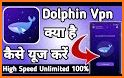 Dolphin VPN - Fast VPN Proxy related image