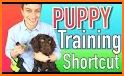 Dog - training and clicker related image