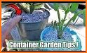 Container Gardening related image