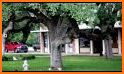 Visit Salado Texas! related image