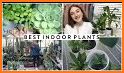 Cute & Tiny House Plants - Mini Home Garden related image