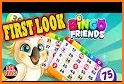 Bingo With Friends Same Room Multiplayer Game related image