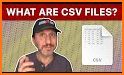 CSV Viewer | CSV File Reader: CSV to pdf converter related image