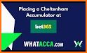 Bet365 Sports Choice related image