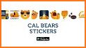 Bears Stickers for WhatsApp related image